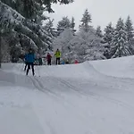 Panoramaferienwohnung Bergwiese מאסרברג