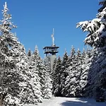 Panoramaferienwohnung Bergwiese דירה