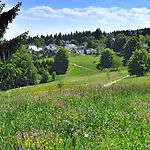 Panoramaferienwohnung Bergwiese Appartement