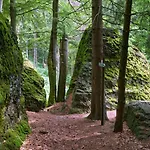 Panoramaferienwohnung Bergwiese Appartement *