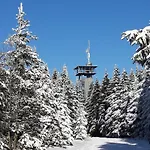 Panoramaferienwohnung Bergwiese *