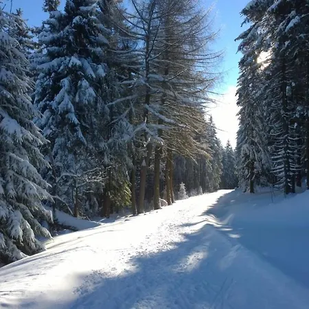 Panoramaferienwohnung Bergwiese *