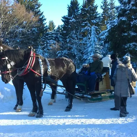 Panoramaferienwohnung Bergwiese Daire Masserberg