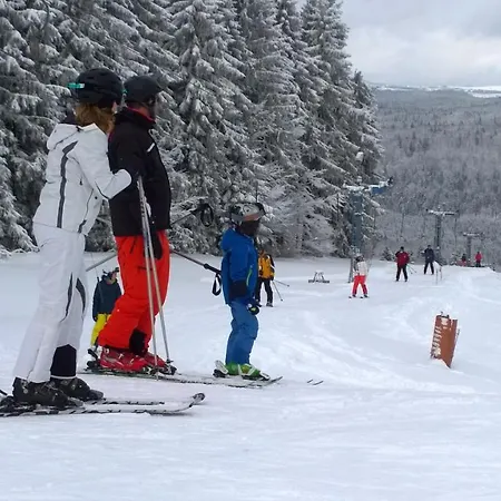 Panoramaferienwohnung Bergwiese شقة