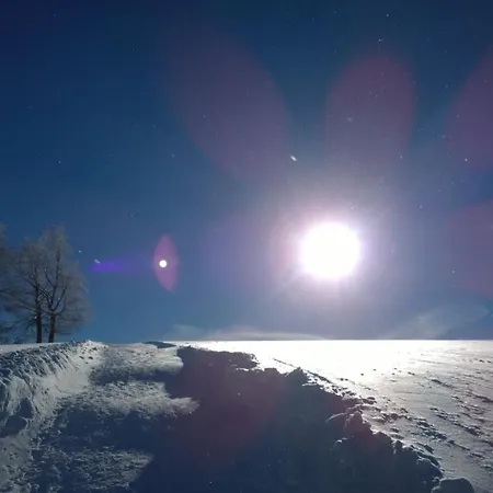 Panoramaferienwohnung Bergwiese * ماسيربيرغ