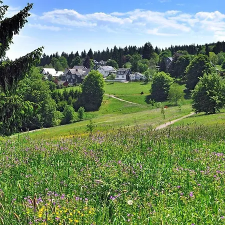 Panoramaferienwohnung Bergwiese Apartment