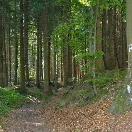 Panoramaferienwohnung Bergwiese *