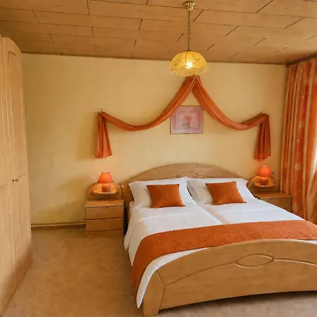 Apartment Panoramaferienwohnung Bergwiese Masserberg