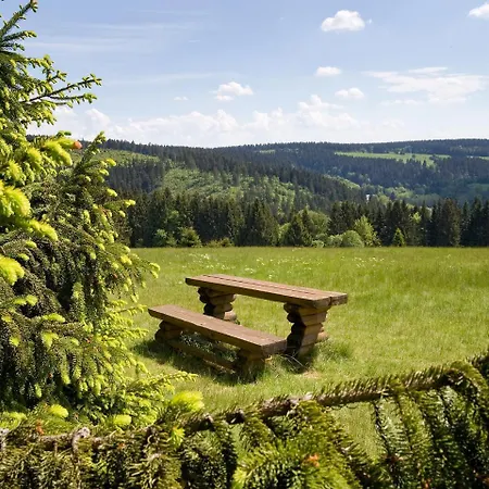 Panoramaferienwohnung Bergwiese * Masserberg