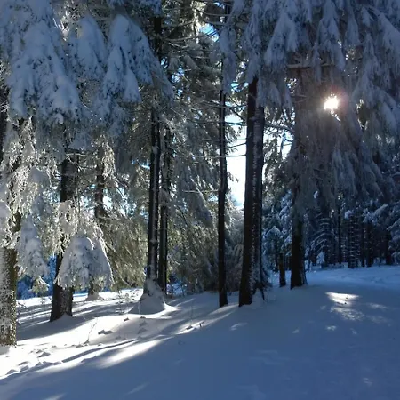 Panoramaferienwohnung Bergwiese