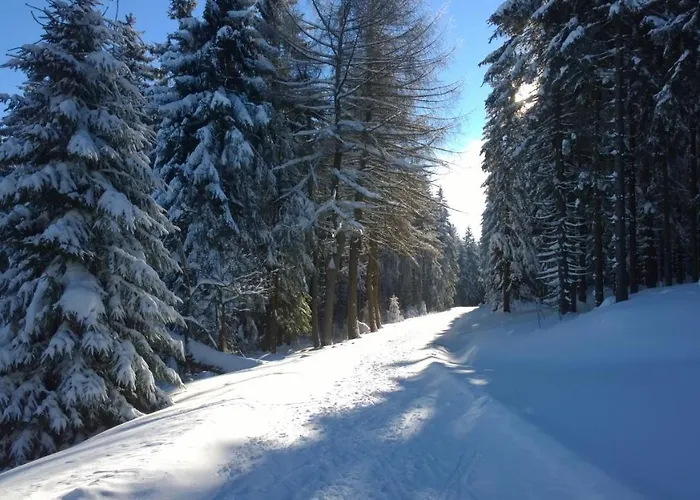 Panoramaferienwohnung Bergwiese *