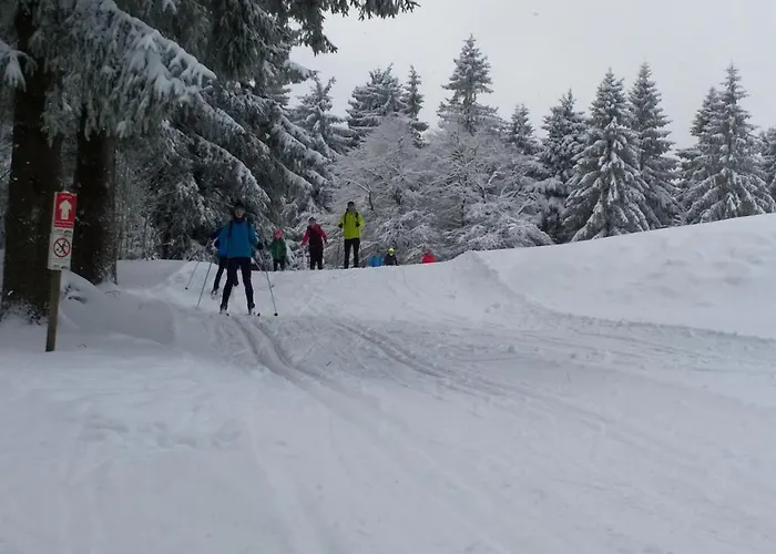 Panoramaferienwohnung Bergwiese 马瑟尔贝格