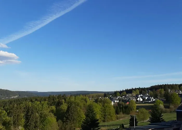 Panoramaferienwohnung Bergwiese *