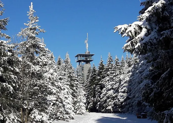 Panoramaferienwohnung Bergwiese 公寓