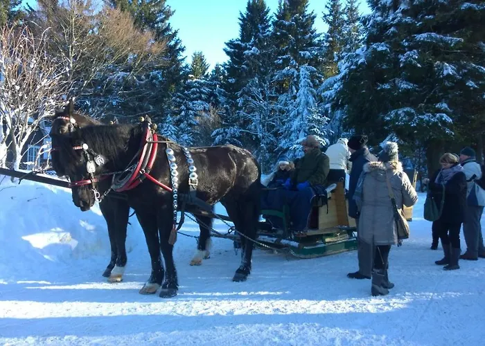 Panoramaferienwohnung Bergwiese Daire Masserberg