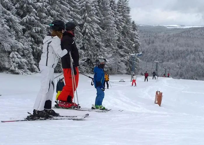 Panoramaferienwohnung Bergwiese Daire