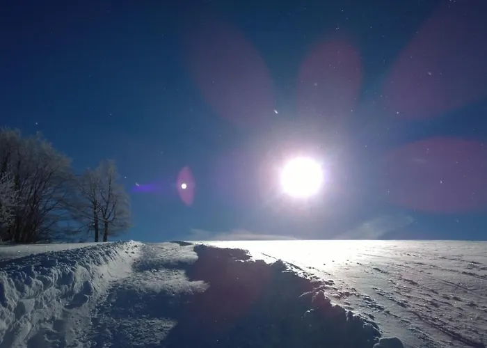 Panoramaferienwohnung Bergwiese * Masserberg