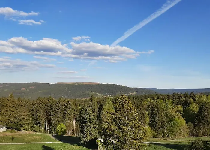 Panoramaferienwohnung Bergwiese Masserberg