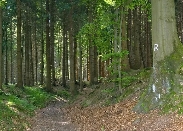 Panoramaferienwohnung Bergwiese *