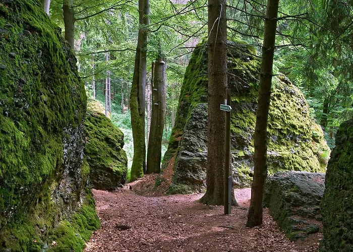 Panoramaferienwohnung Bergwiese Daire *