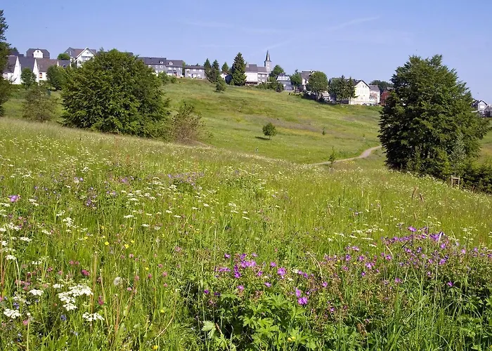 Panoramaferienwohnung Bergwiese Daire Masserberg