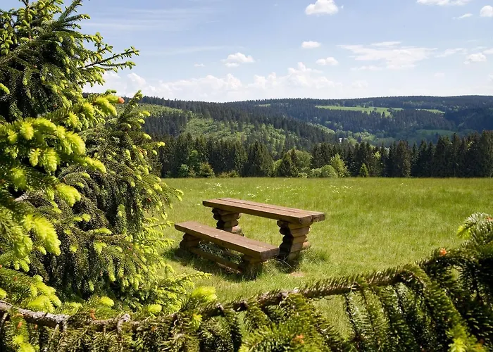 Panoramaferienwohnung Bergwiese * Masserberg