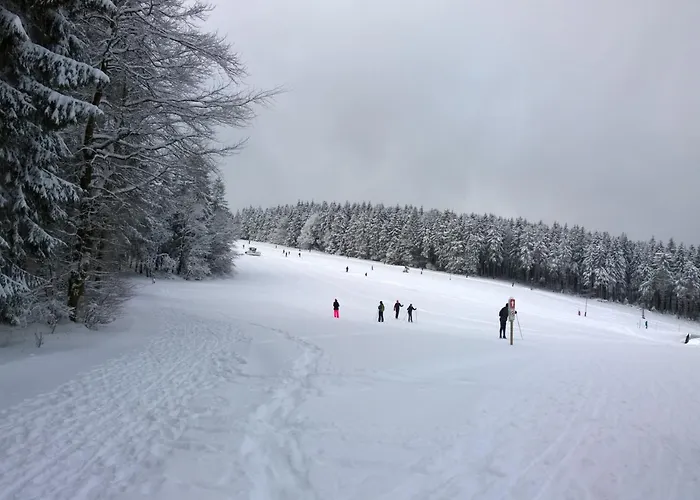 Panoramaferienwohnung Bergwiese