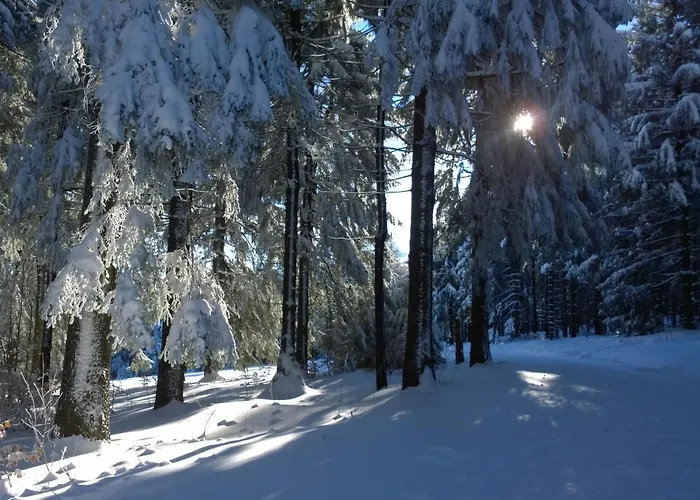 Panoramaferienwohnung Bergwiese