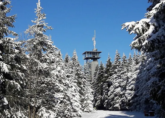 Panoramaferienwohnung Bergwiese *
